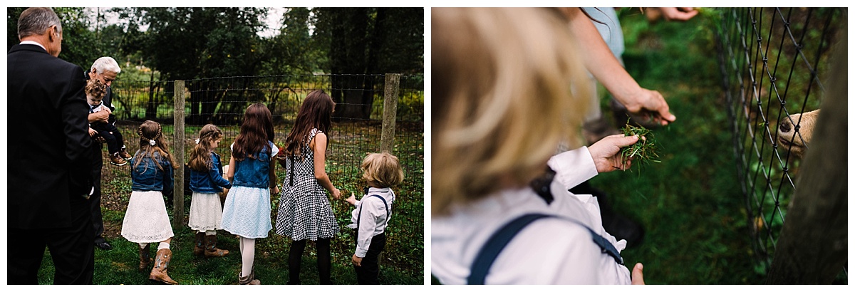 offbeat bride, seattle engagement, seattle bride and groom, engagement session, julia kinnunen photography, destination wedding, seattle wedding, wedding photography, newlyweds, black diamond gardens, greenhouse wedding