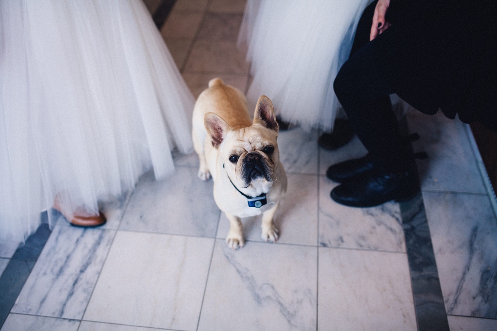 julia kinnunen photography, wedding, seattle, getting ready, pacific northwest, seattle bride, dairyland, rustic wedding