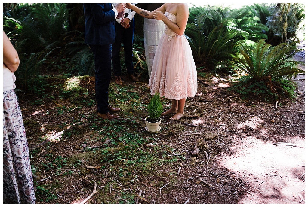 offbeat bride, hoh rainforest, ruby beach, olympic peninsula, julia kinnunen photography, destination wedding, colorado wedding, seattle wedding, wedding photography, bride, groom, adventure seekers, newlyweds, northwest washington wedding, elopement, intimate wedding