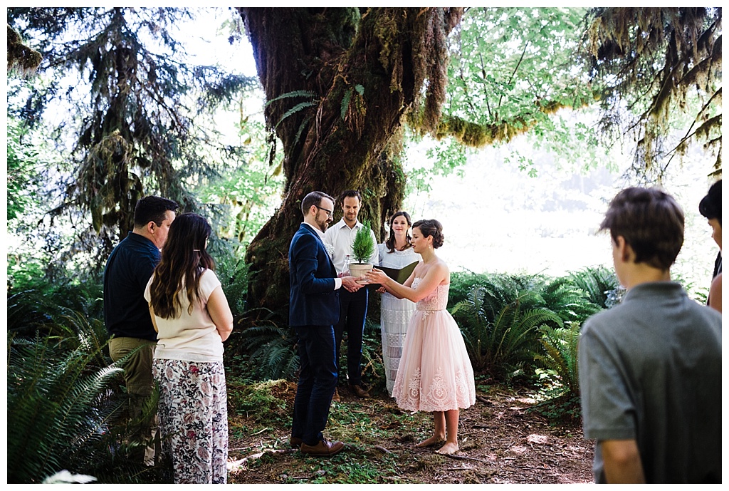 offbeat bride, hoh rainforest, ruby beach, olympic peninsula, julia kinnunen photography, destination wedding, colorado wedding, seattle wedding, wedding photography, bride, groom, adventure seekers, newlyweds, northwest washington wedding, elopement, intimate wedding