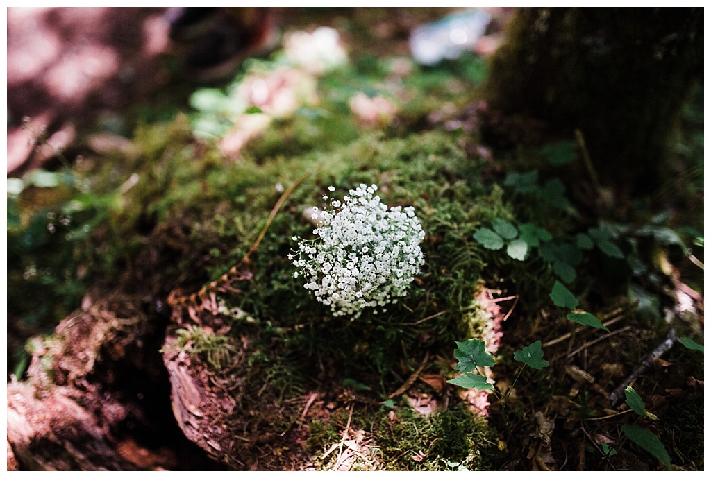 offbeat bride, hoh rainforest, ruby beach, olympic peninsula, julia kinnunen photography, destination wedding, colorado wedding, seattle wedding, wedding photography, bride, groom, adventure seekers, newlyweds, northwest washington wedding, elopement, intimate wedding