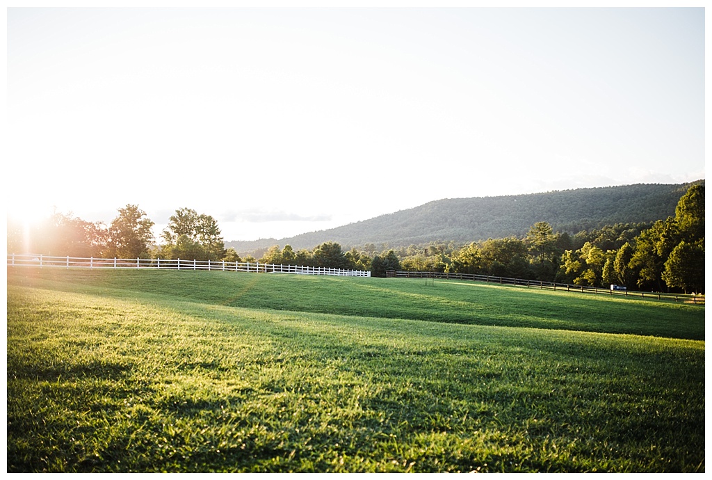 julia kinnunen photography, destination wedding, south carolina wedding, southern wedding, seattle wedding, wedding photography, bride, groom, newlyweds, offbeat bride, fred symmes chapel, oskar blues brewery, east coast bride, intimate wedding, portraits