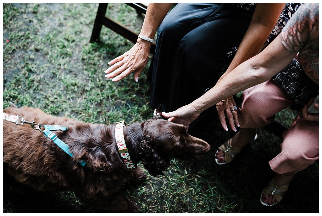 offbeat bride, treehouse point, julia kinnunen photography, destination wedding, seattle wedding, wedding photography, bride, groom, adventure seekers, newlyweds, northwest washington wedding, elopement, intimate wedding, diy wedding, ceremony