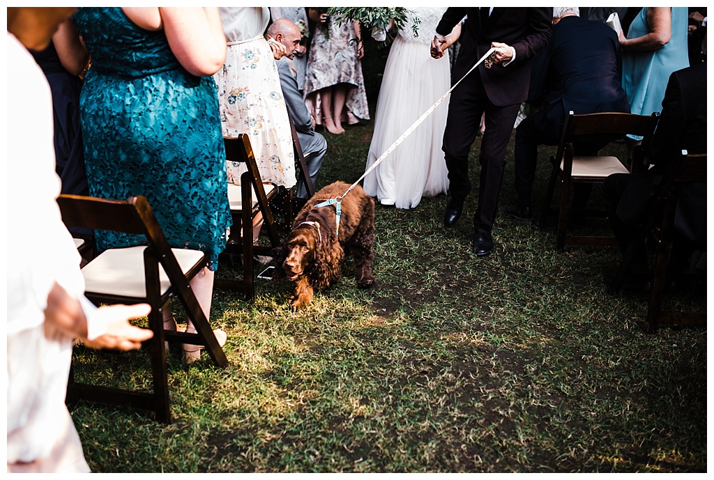 offbeat bride, treehouse point, julia kinnunen photography, destination wedding, seattle wedding, wedding photography, bride, groom, adventure seekers, newlyweds, northwest washington wedding, elopement, intimate wedding, diy wedding, ceremony