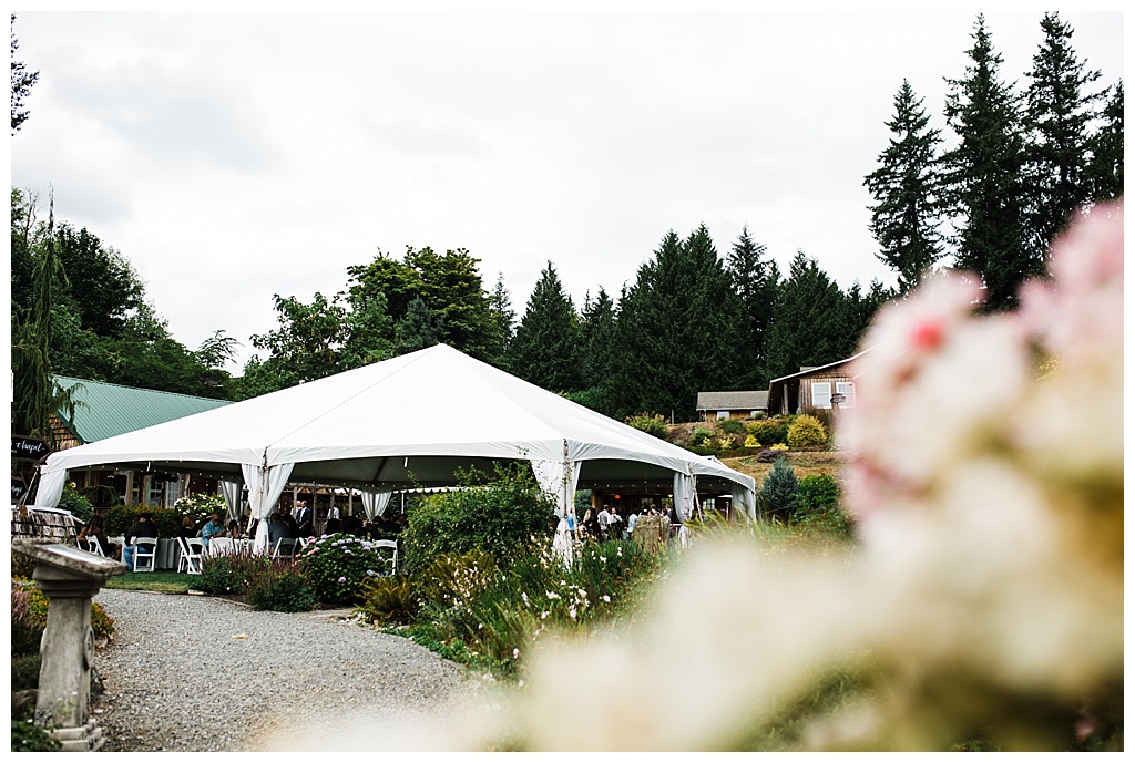 julia kinnunen photography, twin willow gardensl, snohomish wedding, seattle wedding, wedding photography, bride, groom, rustic wedding, diy wedding, newlyweds, pacific northwest wedding, reception 