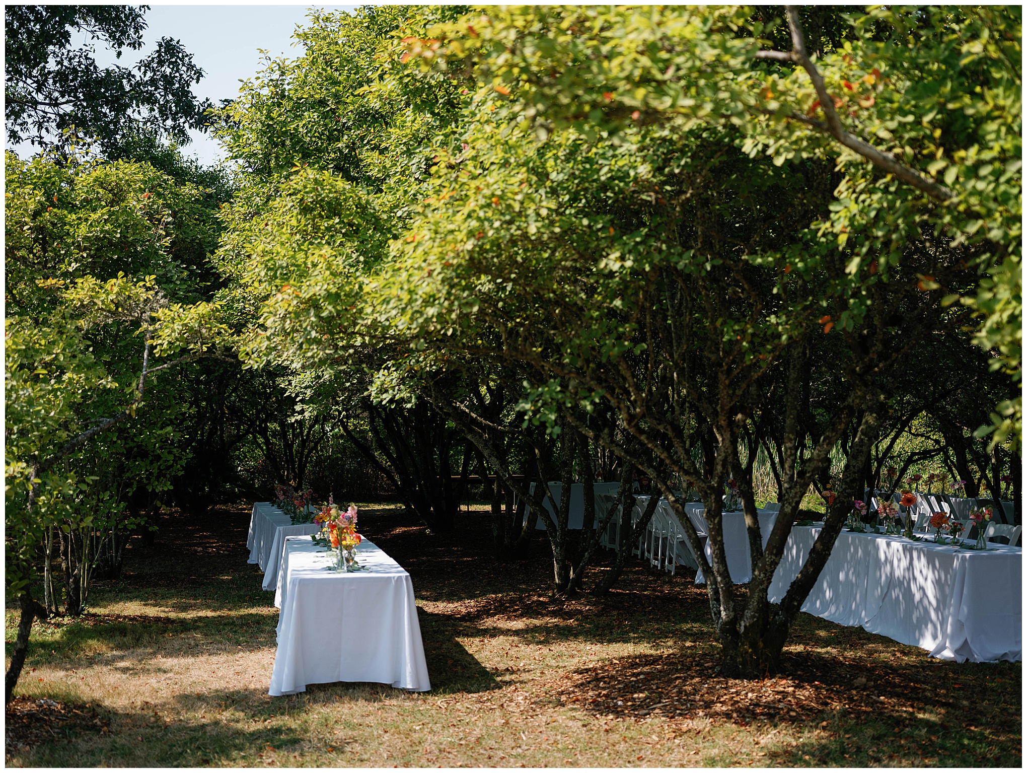 Reception tables under the trees