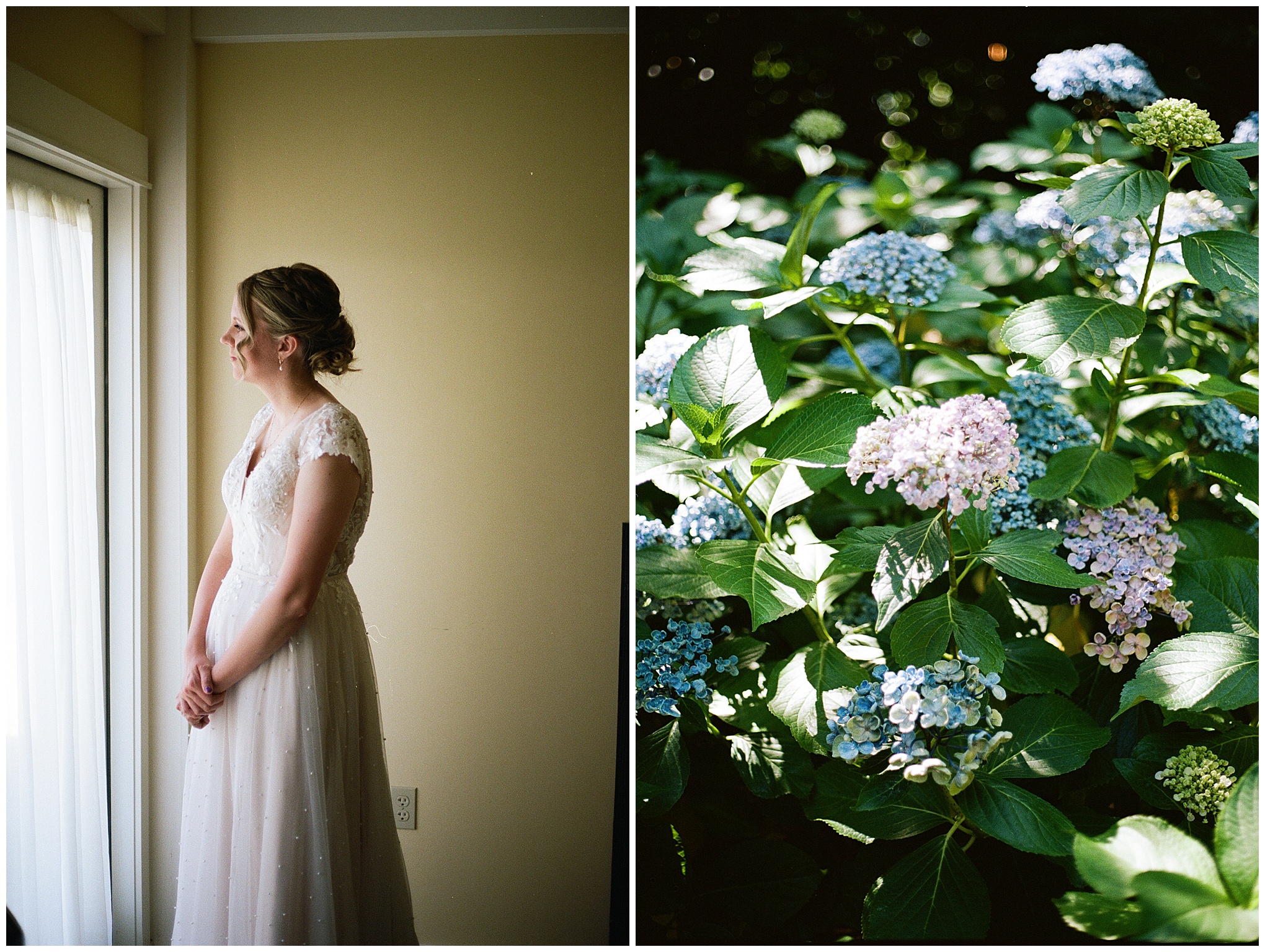 Bride in a lace dress gazing out the window with hydrangeas in the garden.