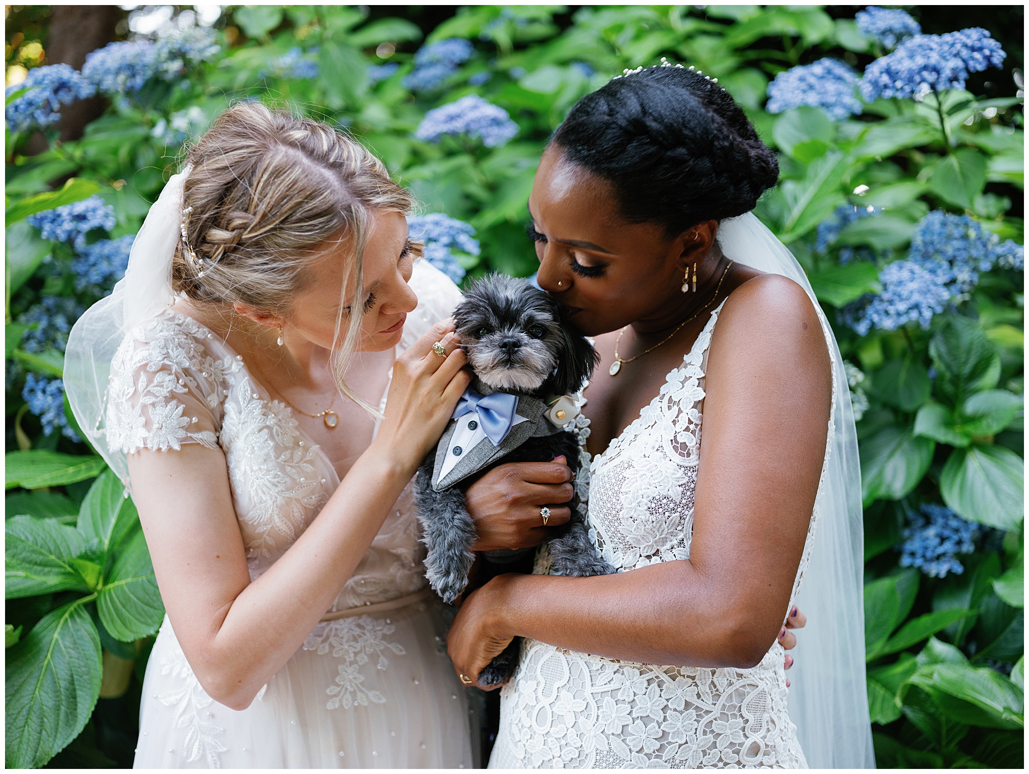 The brides posing with their dog, lovingly holding and kissing it, in front of lush hydrangeas.