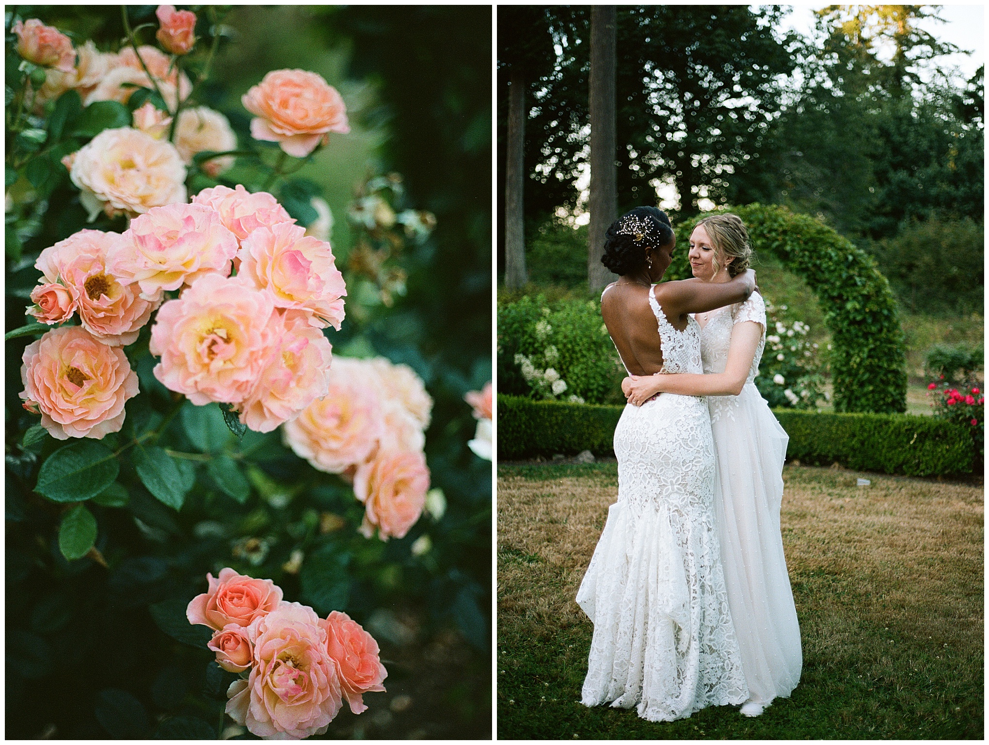 A couple shares a tender embrace in a garden, framed by soft pink roses in the foreground.